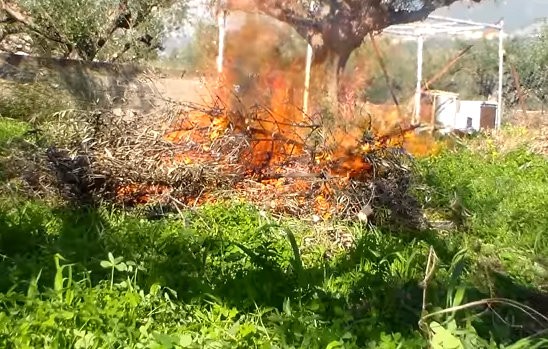 ΑΛΙΒΕΡΙ: Συνελήφθη για εμπρησμό από αμέλεια 72χρονος